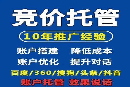 竞价排名广告投放案例